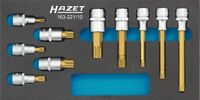 [163-221/10] HAZET - Jeu de douilles mâles