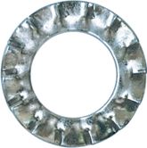 [A0000553] SHT RONDELLES