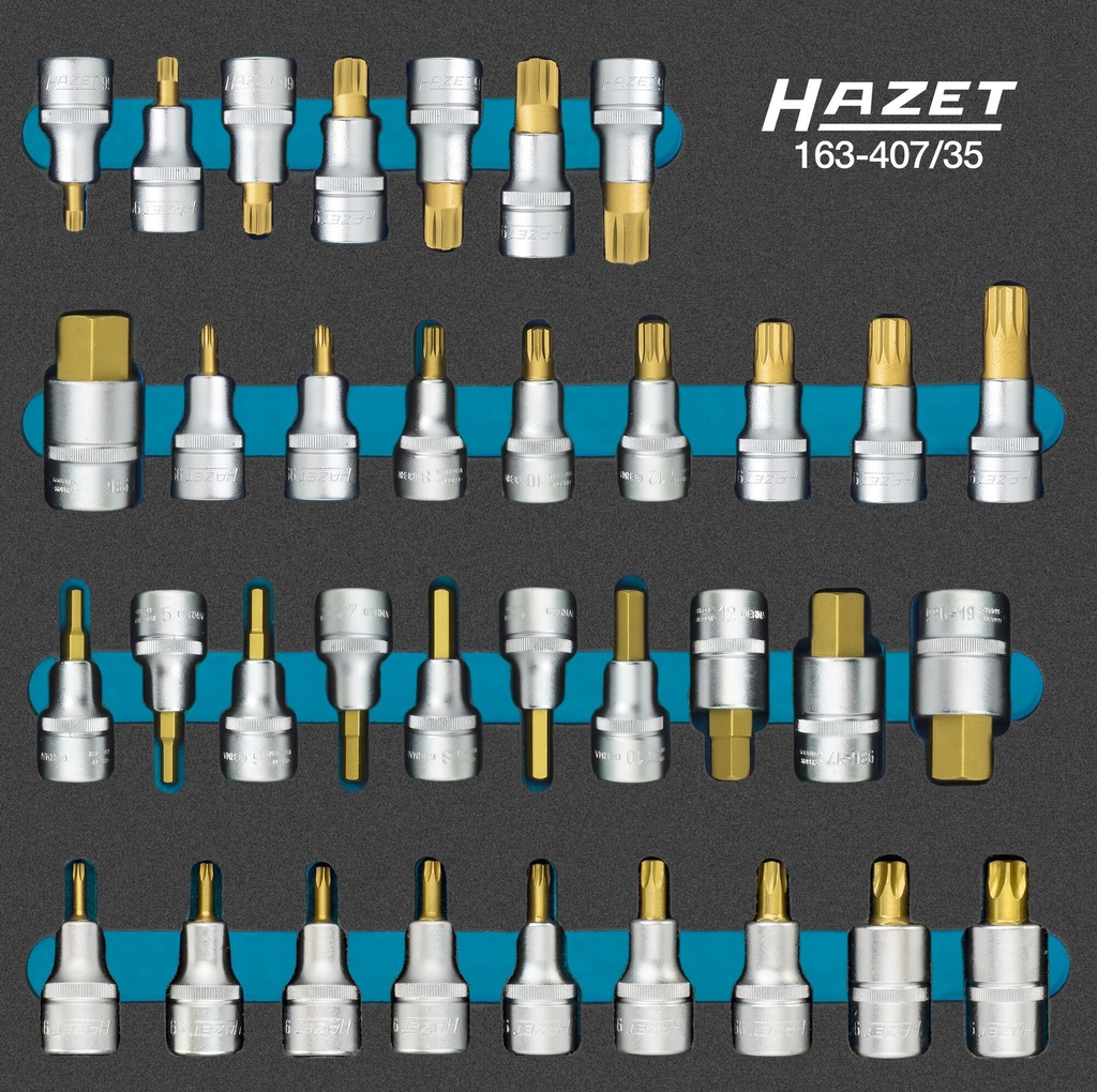 HAZET - Jeu de douilles mâles