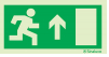 [F0006F30151] PICTO SORTIE DE SECOURS TOUT DROIT PORTE A DROITE 300X150 (PIECE)