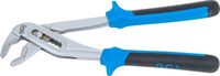 [399BG] BGS - 399 - Pince multiprise à multiprise 245 mm
