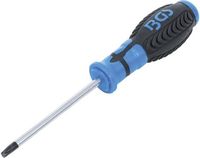 [4922BG] BGS - 4922 - Tournevis profil T (pour Torx) T30 longueur de la lame 100 mm