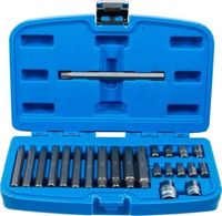[5013BG] BGS - 5013 - Jeu d'embouts 10 mm (3/8") Profil cannelé (pour Ribe) 22 pièces