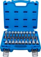 [5170BG] BGS - 5170 - Jeu de douilles à embouts 12,5 mm (1/2") Six pans femelle, profil T (pour Torx), polygo