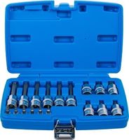 [5174BG] BGS - 5174 - Jeu de douilles à embouts 6,3 mm (1/4") / 12,5 mm (1/2") Profil T (pour Torx) avec perç