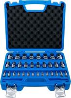 [74258BG] BGS - 74258 - Jeu de douilles à embouts 6,3 mm (1/4") / 10 mm (3/8") / 12,5 mm (1/2") Six pans femel