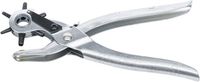 [75835BG] BGS - 75835 - Pince à poinçonner 2 - 4.5 mm