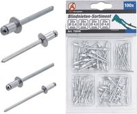 [75846BG] BGS - 75846 - Assortiment de rivets pop Ø 2,4 - 4,8 mm 100 pièces