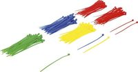 [80875BG] BGS - 80875 - Assortiment de colliers plastique multicolore 2,4 x 100 mm 200 pièces