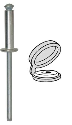 [A0004775] SHT RIV CHAPO BLANC