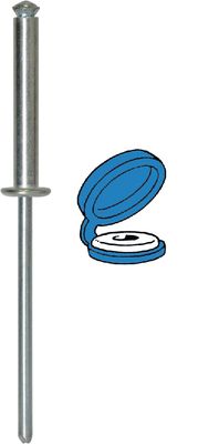 [A0004780] SHT RIV CHAPO BLEU