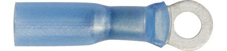 [A0225168] BLS COSSES THERMO