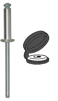 [A0004999] BTE RIV CHAPO
