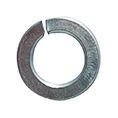 [A0000569] SHT RONDELLES