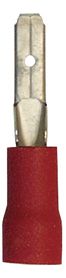 [A0006975] SHT COSSES